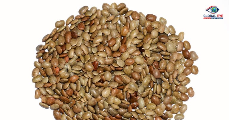 இரும்பு மனிதனாக மாற்றும் ‘கொள்ளு’! எடை குறைப்பு முதல் சிறுநீரகக் கல் வரை சகலத்திற்கும் தீர்வு!