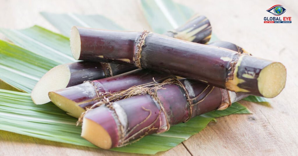 இனிப்பைத் தாண்டிய ஆரோக்கியம்! கரும்பு கடித்து மென்று சாப்பிடுவதால் இத்தனை நன்மைகளா?