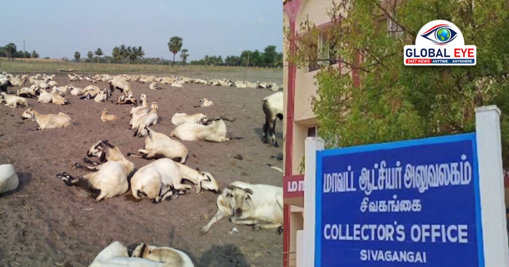 சிவகங்கை புலிக்குளத்தில் சோகம்: தீ விபத்தில் 20 ஆட்டுக்குட்டிகள் பலி
