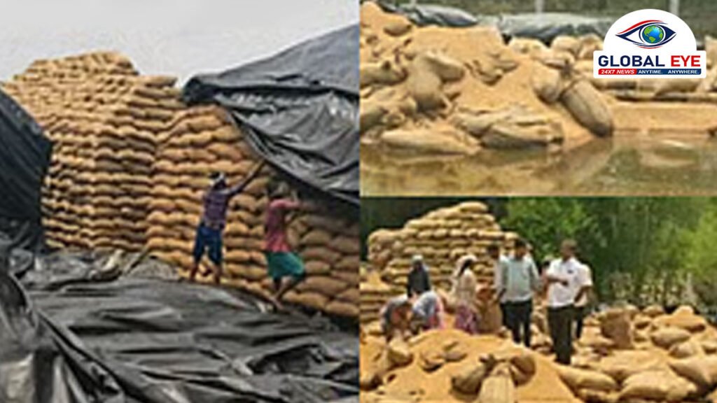 தஞ்சை மாவட்டத்தில் கொட்டித்தீர்த்த கனமழை: 50 ஆயிரம் நெல் மூட்டைகள் நனைந்து சேதம் – விவசாயிகள் பெரும் வேதனை!