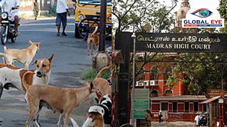 பள்ளிகள், மருத்துவமனைகளில் சுற்றித் திரியும் தெருநாய்களை அப்புறப்படுத்துங்கள்: தமிழ்நாடு, புதுச்சேரி அரசுகளுக்குச் சென்னை உயர் நீதிமன்றம் அதிரடி உத்தரவு!