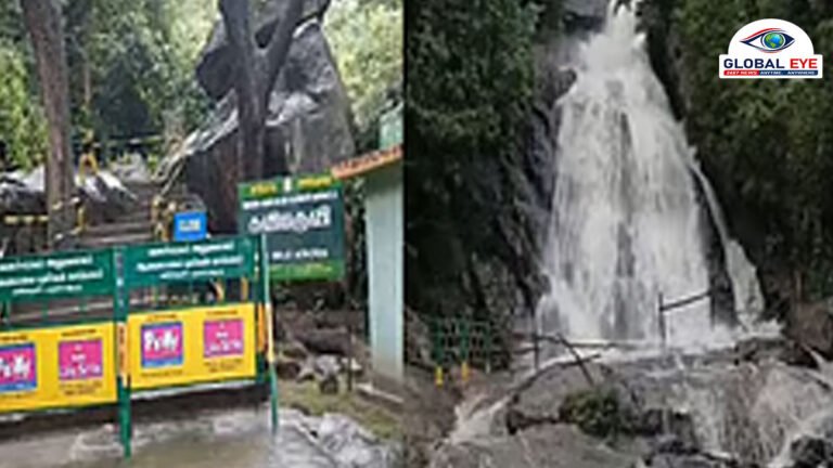 பொள்ளாச்சி: 3 மாதங்களாக வறண்டு கிடந்த கவியருவியில் திடீர் வெள்ளப்பெருக்கு – சுற்றுலாப் பயணிகள் குளிக்கத் தடை!