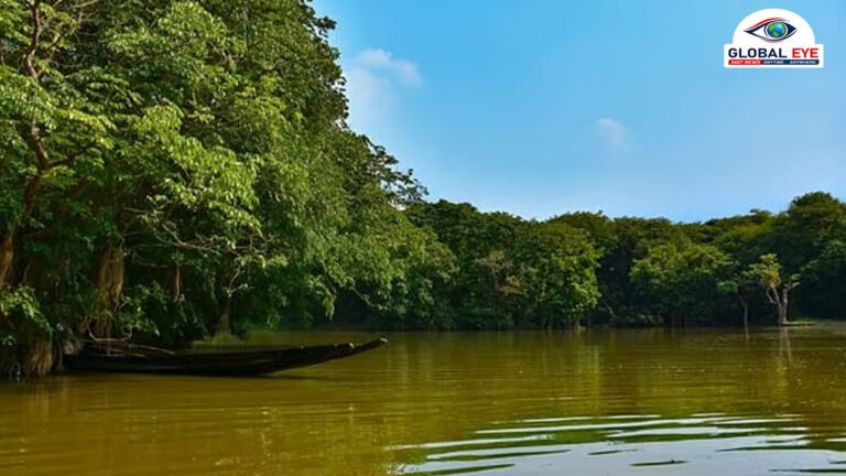 தூத்துக்குடி: கடலோரப் பகுதிகளின் உயிர் கவசம் – அலையாத்திக் காடுகளைப் பாதுகாக்கத் துடிக்கும் வனத்துறை!