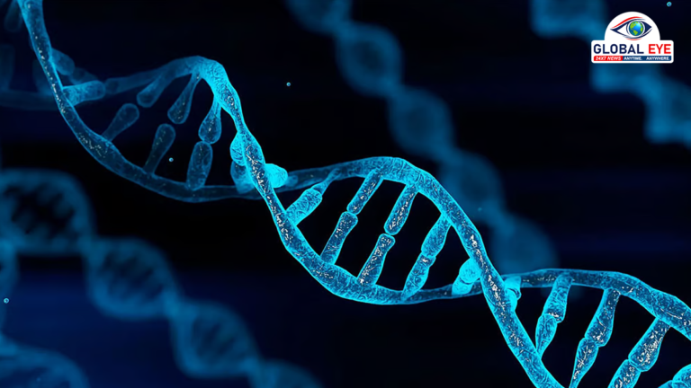 தமிழகத்தில் மேலும் 2 இடங்களில் புதிய DNA பரிசோதனை ஆய்வகங்கள்: சென்னை உயர் நீதிமன்றத்தில் அரசு தகவல்!
