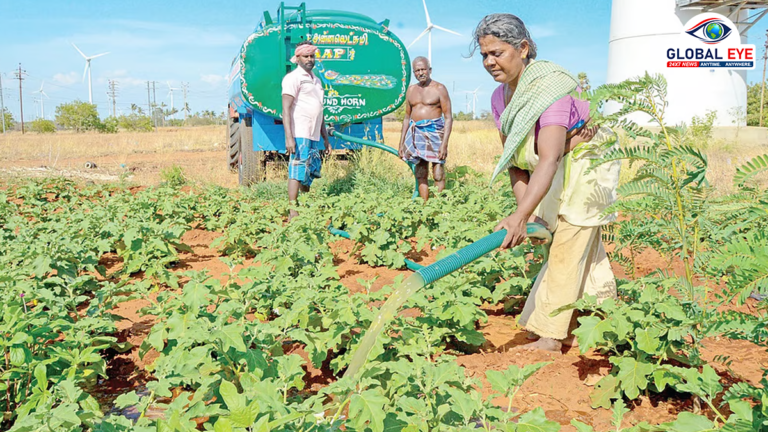 நெல்லையில் காய்கறி பயிர்களைக் காக்க களத்தில் இறங்கிய நிர்வாகம்: டேங்கர் லாரிகள் மூலம் அதிரடித் தண்ணீர் விநியோகம்!