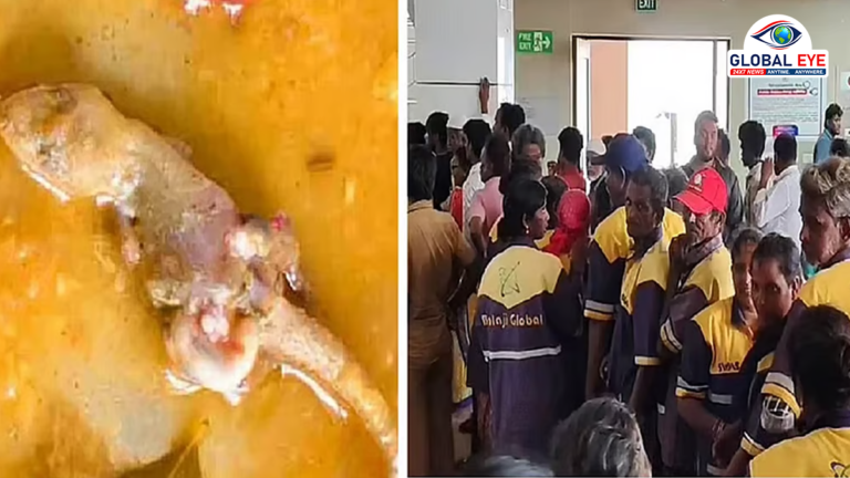 தூய்மை பணியாளர்களுக்கான காலை உணவில் பல்லி இருந்த விவகாரம்: தனியார் கேட்டரிங் நிறுவன உரிமையாளர் மீது வழக்குப் பதிவு! – ஒரு செய்தி அலசல்