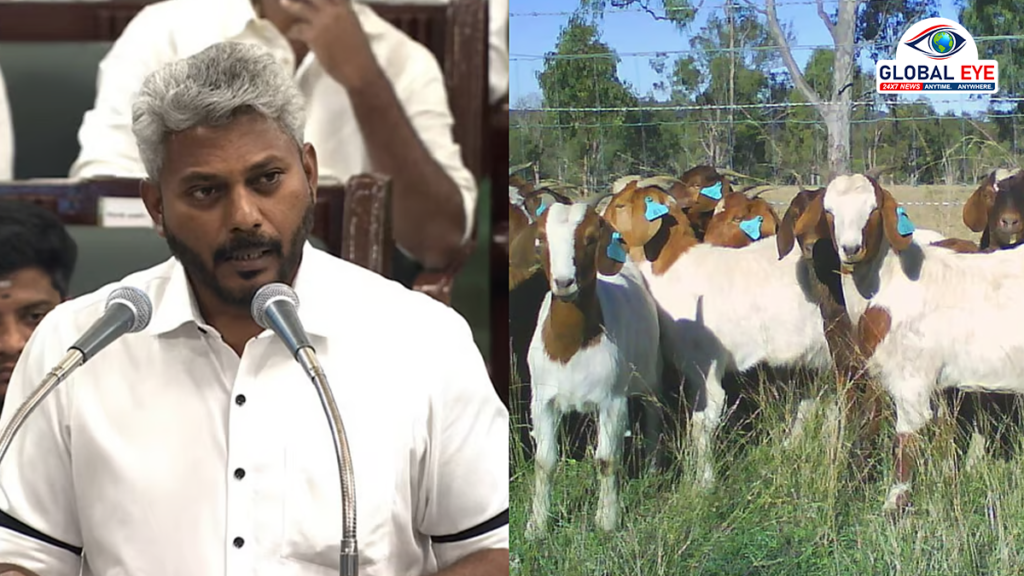 ‘வெற்றி மகளிர் ஆடுகள் வளர்ப்பு’ திட்டம்: தமிழக பட்ஜெட் 2026-ல் புதிய அறிவிப்பு!