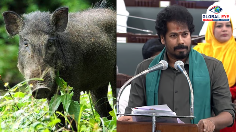 காட்டுப்பன்றிகள் சேதத் தடுப்பு திட்டம்: வேளாண் பட்ஜெட்டில் வெளியான முக்கிய அறிவிப்பு