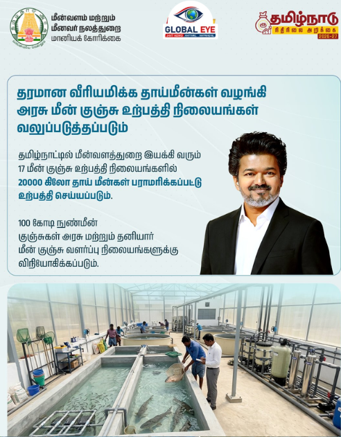தரமான வீரியமிக்க தாய்மீன்கள் வழங்கி அரசு மீன் குஞ்சு உற்பத்தி நிலையங்கள் வலுப்படுத்தப்படும்!