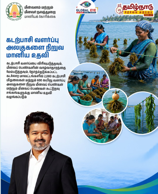 மீனவப் பெண்களின் வாழ்வாதாரத்தை உயர்த்த கடற்பாசி வளர்ப்பு அலகுகள் நிறுவ மானிய உதவி!