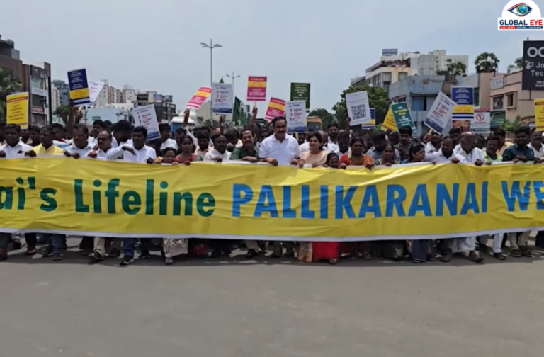 பள்ளிக்கரணை சதுப்புநிலப் பாதுகாப்பு: சுற்றுச்சூழல் விழிப்புணர்வு ஆர்ப்பாட்டம் மற்றும் கள ஆய்வு- பாட்டாளி மக்கள் கட்சியின் தலைவர்கள் Mrs சௌமியா & அன்புமணி!
