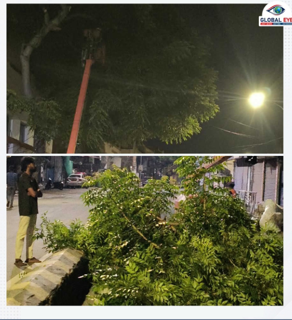 சென்னையில் பாதுகாப்பான பயணத்திற்காக தீவிரமாக நடைபெறும் மரக்கிளைகள் அகற்றும் பணிகள்!